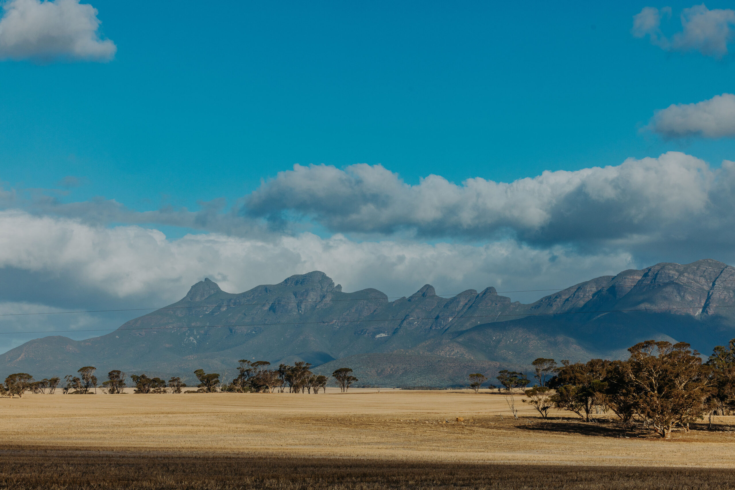 Gallery - Stirling Ranges Beef