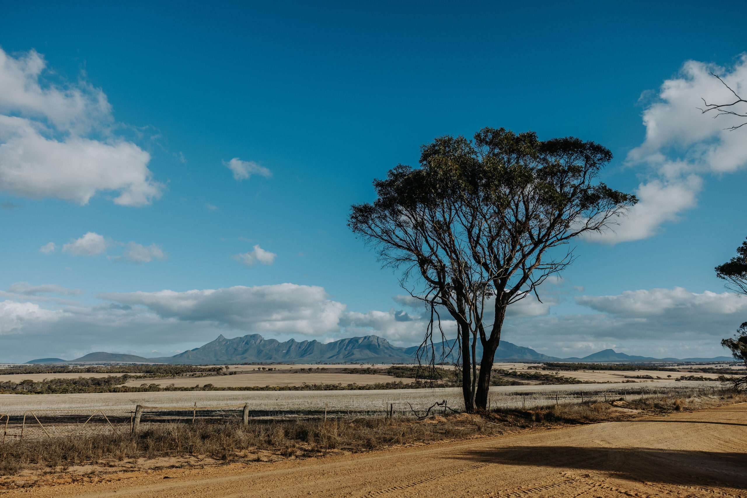 Gallery - Stirling Ranges Beef