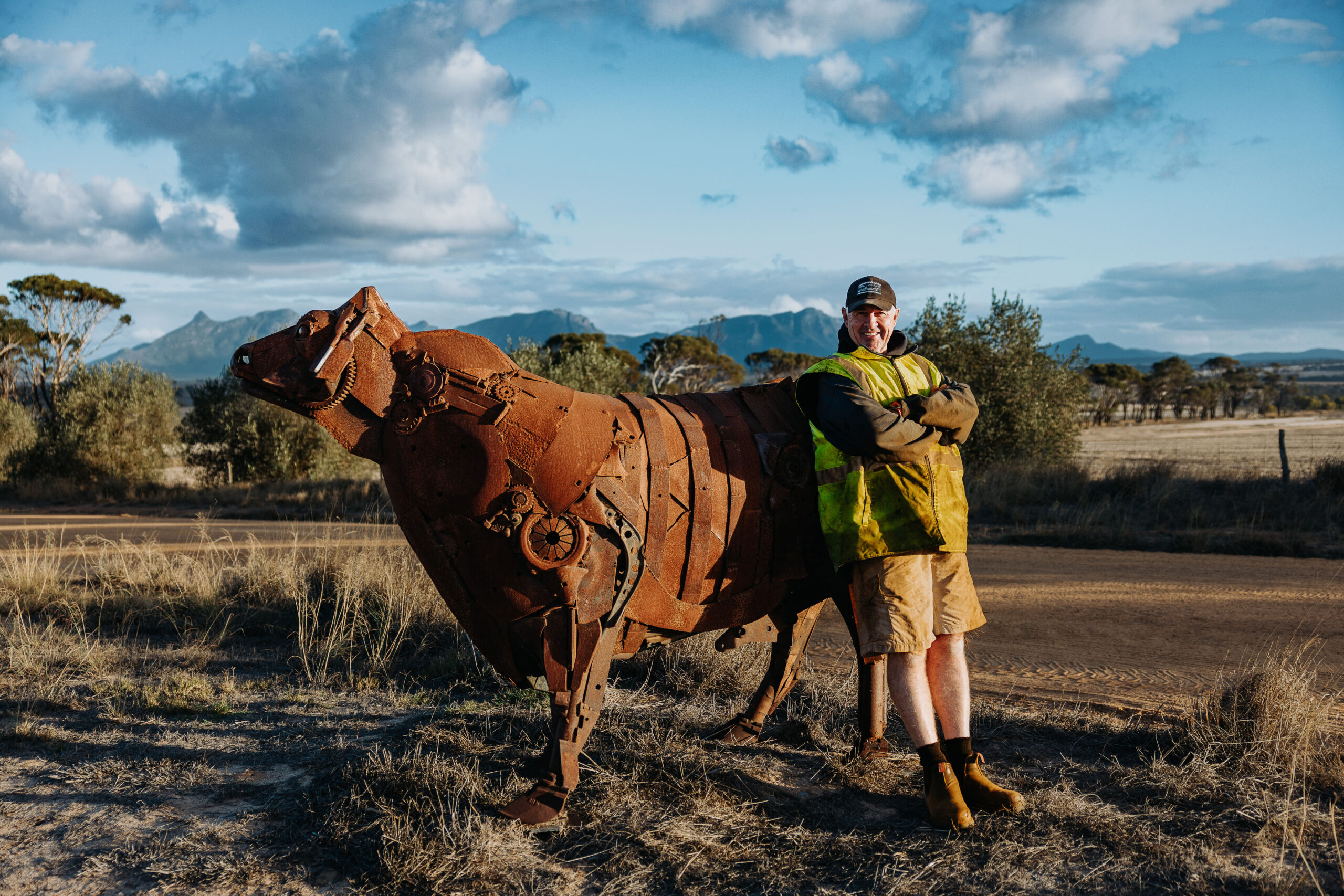 Gallery - Stirling Ranges Beef