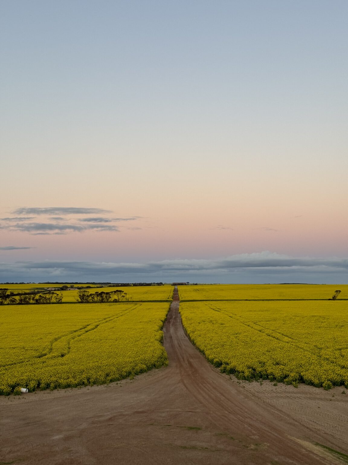Gallery - Stirling Ranges Beef
